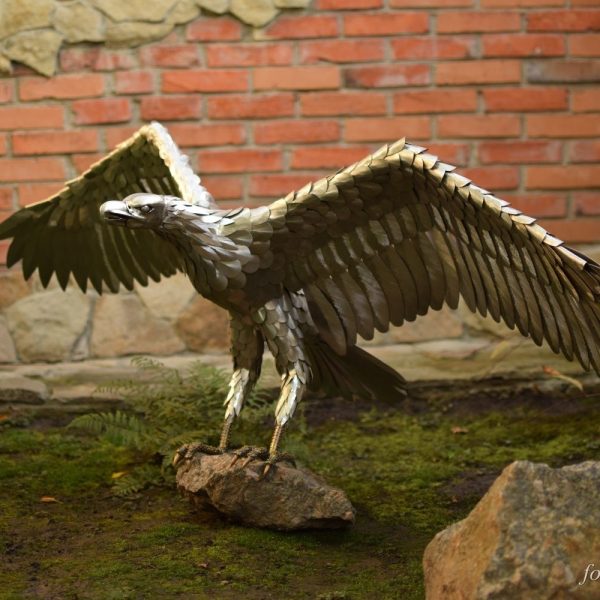 Großer Adler mit weit ausgebreiteten Flügeln landet auf einem Naturstein, Edelstahl