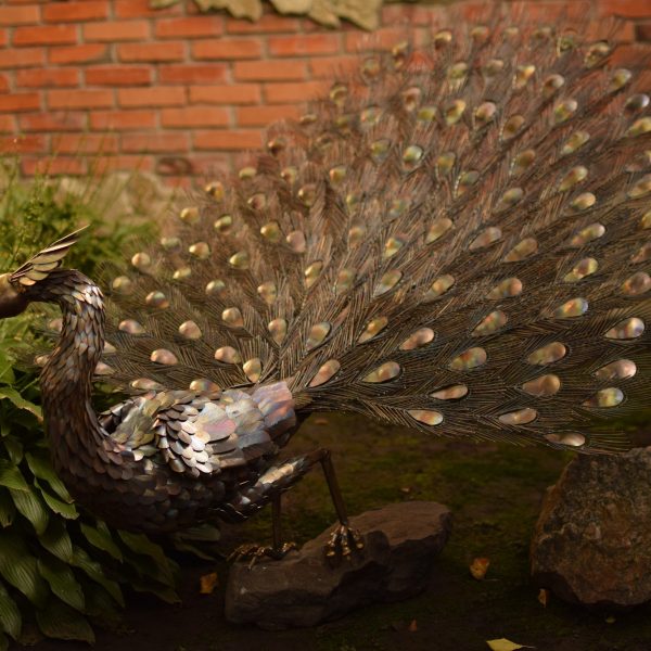 Pair of stainless steel peacocks with spread tails